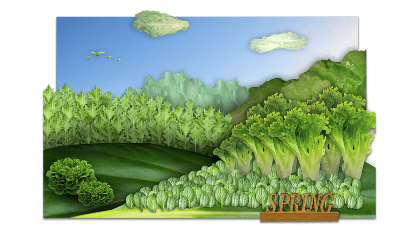 Fresh Express: Seasons Campaign Concept - Nick Perata