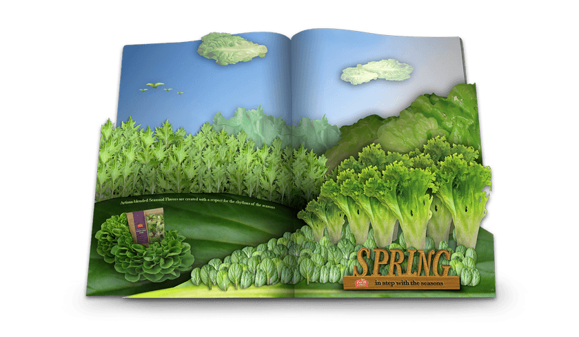 Fresh Express: Seasons Campaign Concept - Nick Perata