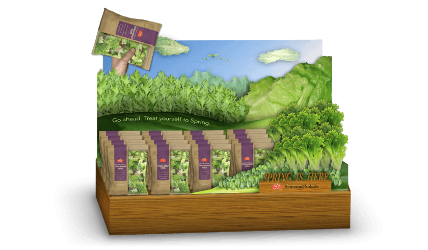 Fresh Express: Seasons Campaign Concept - Nick Perata