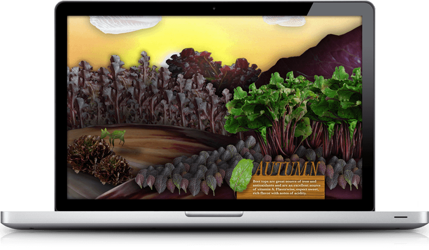 Fresh Express: Seasons Campaign Concept - Nick Perata